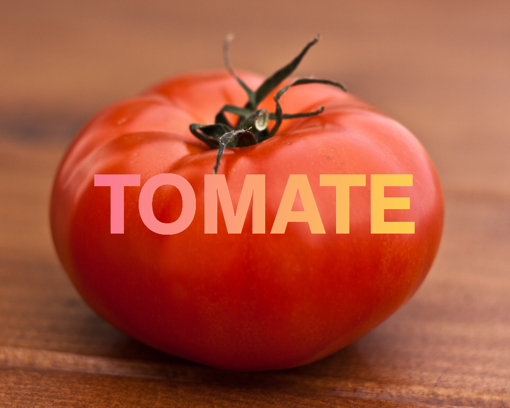 0305-article-Tomate