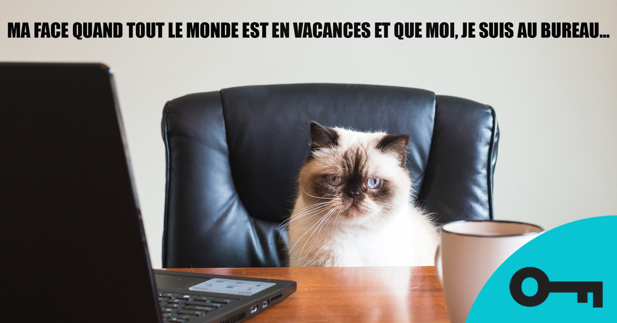 Un chat assis sur une chaise de bureau