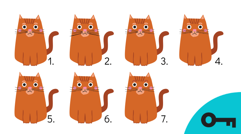7 chats, tous identiques sauf 2