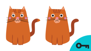 un jeu des 5 différences avec une image de chat