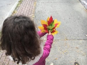 Un enfant tient des feuilles d'automne dans sa main.