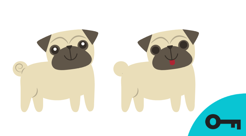 Un jeu des 3 différences avec une image de chien carlin pug.