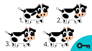Un jeu visuel : 4 vaches dont 1 est différente.