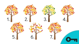 Un jeu visuel : 7 arbres à l'automne dont 2 sont différents.