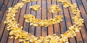 Bonhomme sourire en feuilles d'automne jaune